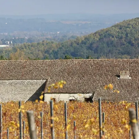 Chemin De Gargamelle 'mirabelle' *