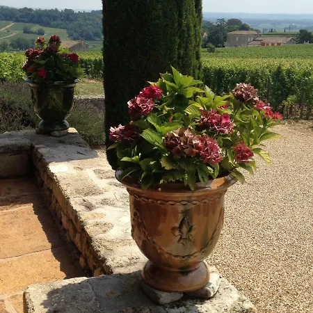 Casa vacanze Chemin De Gargamelle 'mirabelle'