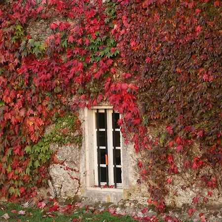 Casa vacanze Chemin De Gargamelle 'mirabelle' Ligueux (Gironde)
